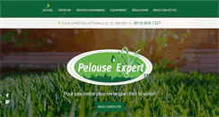 Desktop Screenshot of pelouseexpert.com