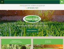 Tablet Screenshot of pelouseexpert.com